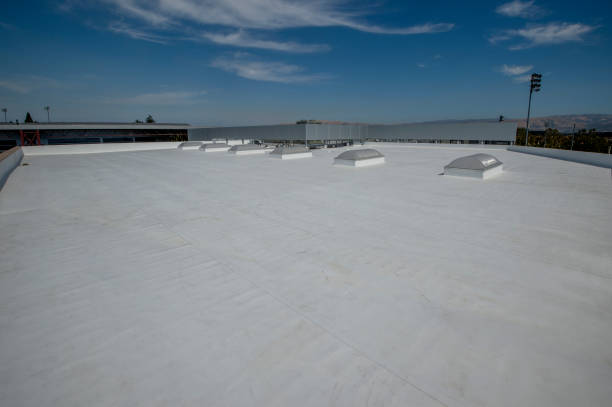 Best Asphalt Shingle Roofing  in Lake Lifornia, CA