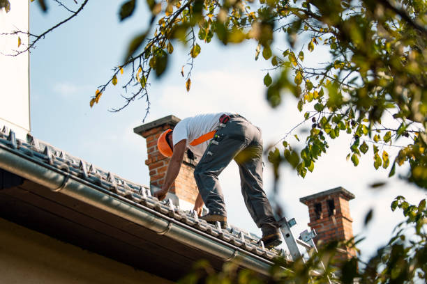 Best Chimney Flashing Repair  in Lake Lifornia, CA
