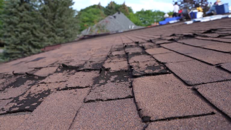 Emergency Roof Repair in Lake California, CA