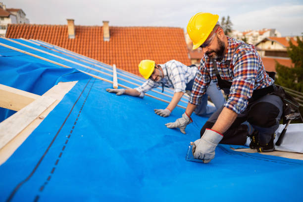 Steel Roofing in Lake California, CA