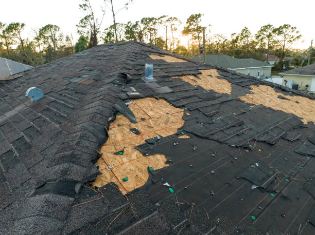 Best Skylight Installation and Repair  in Lake Lifornia, CA